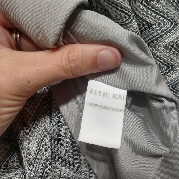 Ellie Kai Chevron Zig Zag Sheath Dress Size 0 - Picture 14 of 14